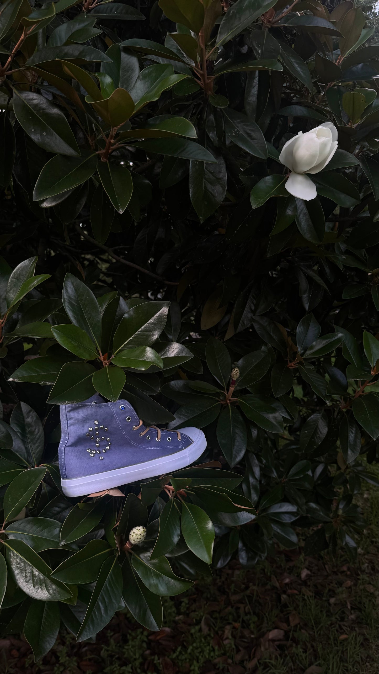 MM-001 HIGH TOP | BLUE GOLD