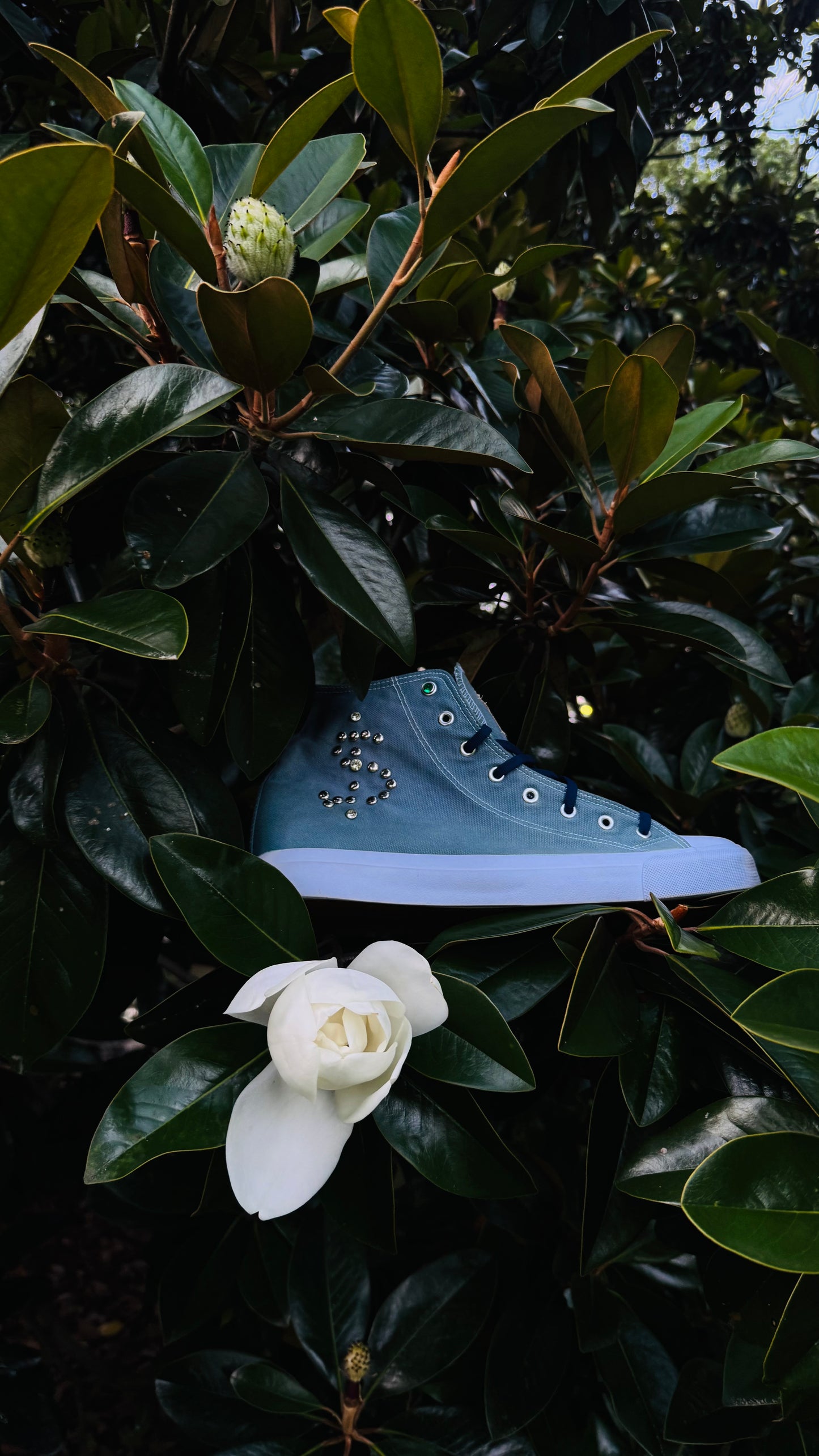 MM-001 HIGH TOP | A DAY IN THE WOODS